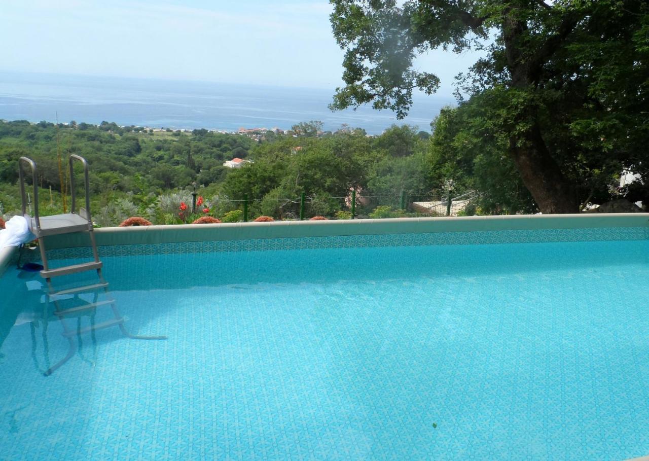 Pataki Guesthouse Petrovac Dış mekan fotoğraf
