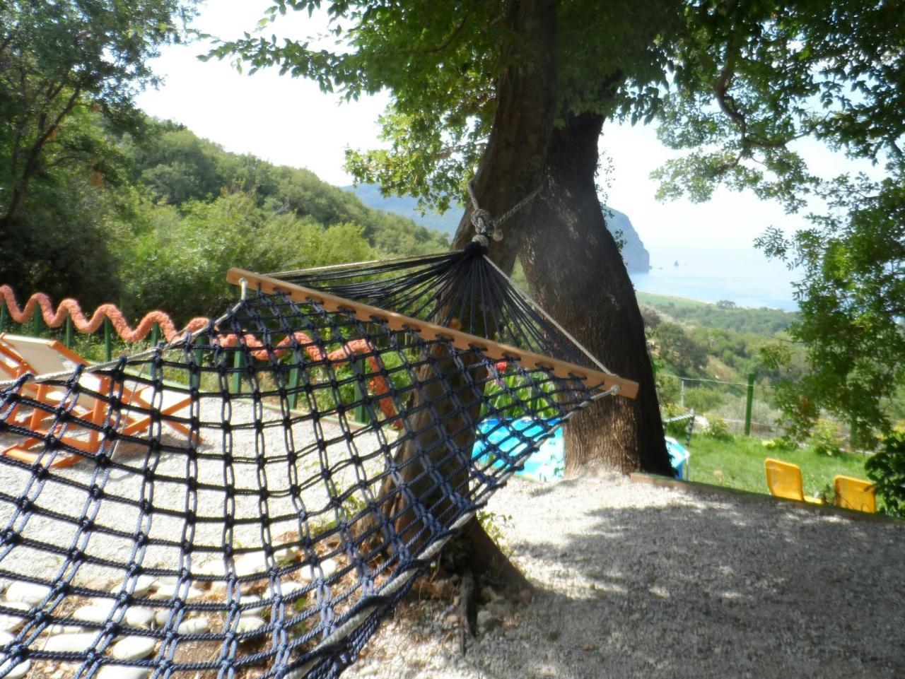 Pataki Guesthouse Petrovac Dış mekan fotoğraf