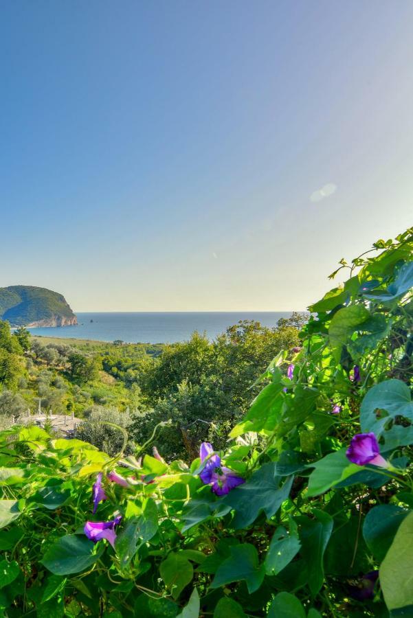 Pataki Guesthouse Petrovac Dış mekan fotoğraf