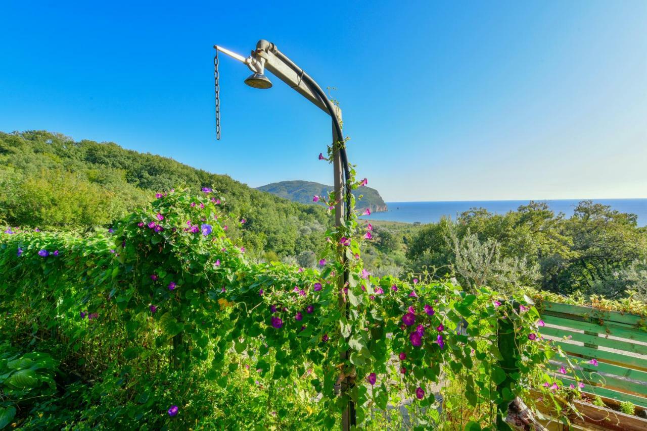 Pataki Guesthouse Petrovac Dış mekan fotoğraf