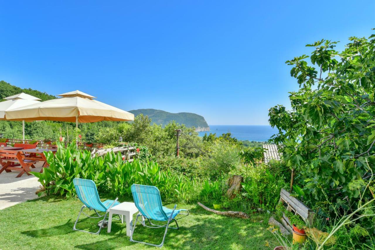 Pataki Guesthouse Petrovac Dış mekan fotoğraf