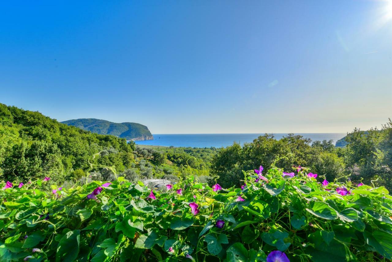Pataki Guesthouse Petrovac Dış mekan fotoğraf